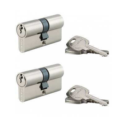 Cylindre STD nickele 30 x 30 mm 6 clés - lot de 2 pièces - Gedimat - THIRARD