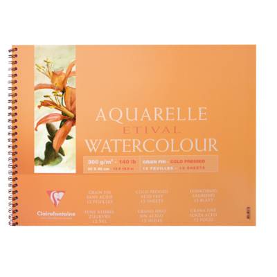 Album spiralé Etival grain fin 30x40 12 feuilles 300g