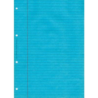 BLOC AUDIT lignes + marge 297X210 80 pages bleu