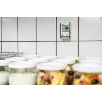 Enregistreur de température 175 T1 avec canal internet CTN - TESTO - 0572 1751 - Maxoutil