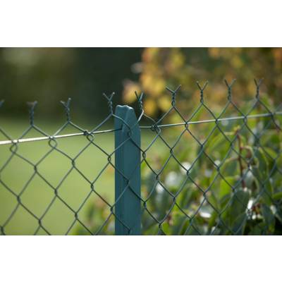 Grillage simple torsion PLASTEX PREMIER 5024 maille 50 x 50 mm vert - Gedimat