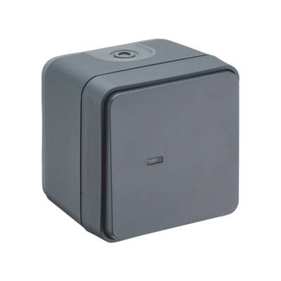 Interrupteur bouton poussoir CYKLONE lumineux - anthracite - Gedimat - DEBFLEX