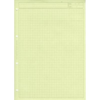 BLOC AUDIT quadrillé 5/5 EN-TETE R×V× 297X210 80 Papier. VERT
