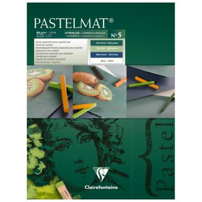 Bloc Pastelmat n°5 12 feuilles 18x24cm Vert foncé, Vert Clair, Bleu Foncé et Blanc