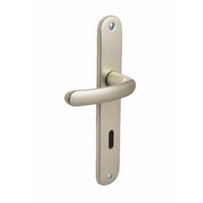 Ensemble de porte Budget BEZAULT entraxe 165mm Clé L - Champagne - 73276 - BEZAULT SAS