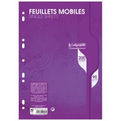 Feuillets mobiles A4 21x29,7 200p séyès 90g