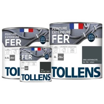 Peinture extérieure fer blanc - Gedimat - TOLLENS