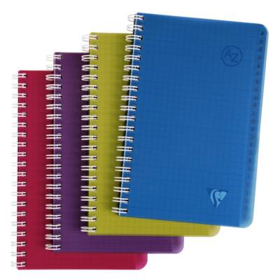 Répertoire Linicolor Spirale 110 x 170 mm 100 pages Q 5x5 Coloris intense Aléatoire