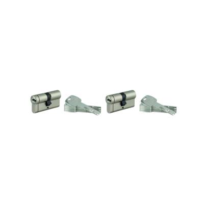 Lot de 2 cylindres profilés transit 1 30x30 mm nickelé - Gedimat - THIRARD