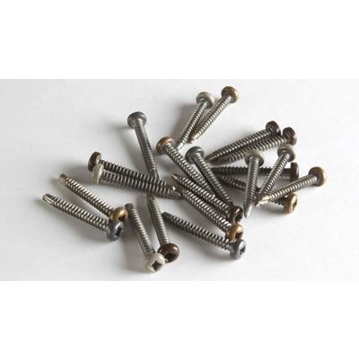 Vis inox avec embout SR2 - 4,2 x 38 mm - sachet de 100 pièces - Gedimat - FIBERDECK