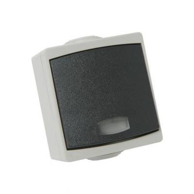 Bouton poussoir avec voyant IP65 gris PERLE - Gedimat - DEBFLEX