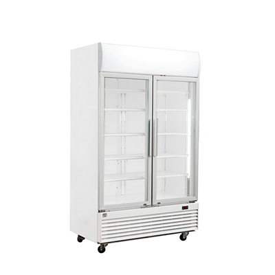 Vitrine réfrigérée positif 2 portes sur roulettes