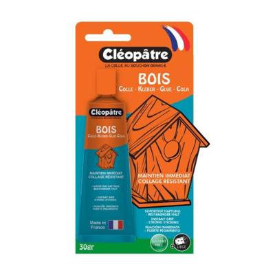 Colle technique Cléo'TECH Bois 30g