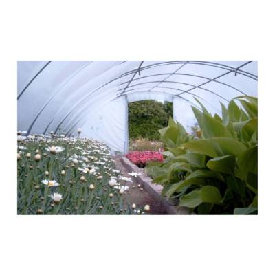 Serre Tunnel Professionnelle Bretagne - 5m80 x 24m00