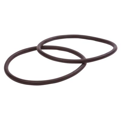 Jeu de 2 joints de rechange pour bocaux de système de filtration Vital - Gedimat