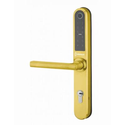 Garniture de porte Intelock Multi THIRARD entraxe 70 Révers. carré 8 - Or - 78911 - Maxoutil