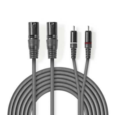 Câble Audio XLR 2x XLR Mâles à 3 Broches - 2x RCA Mâles 3,0 m Gris