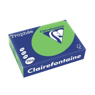 Ramette 250 Feuilles Papier 210g A4 210x297 mm Certifié FSC  vert menthe