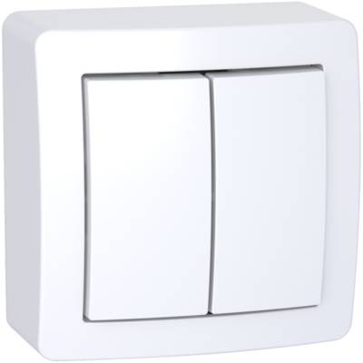 Double va-et-vient avec cadre saillie blanc polaire ALREA - Gedimat - SCHNEIDER ELECTRIC