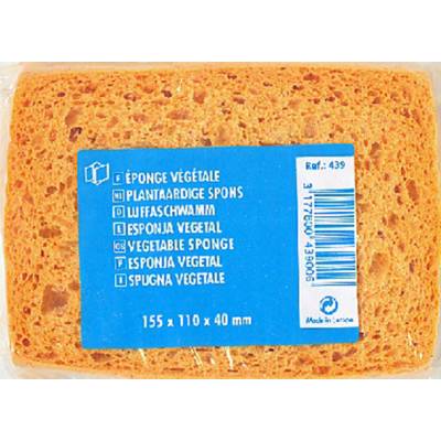 Eponge végétale cellulose fine dim.115x110x40mm - Gedimat - NESPOLI