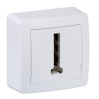 Prise téléphone en T pose en saillie blanc polaire ALREA - Gedimat - SCHNEIDER ELECTRIC