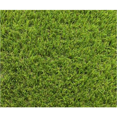 Gazon artificiel LAWN - 2 x 5 m ép.30 mm - Gedimat - EXELGREEN