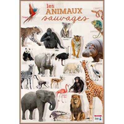 Poster Animaux Sauvages 52 x 76 cm