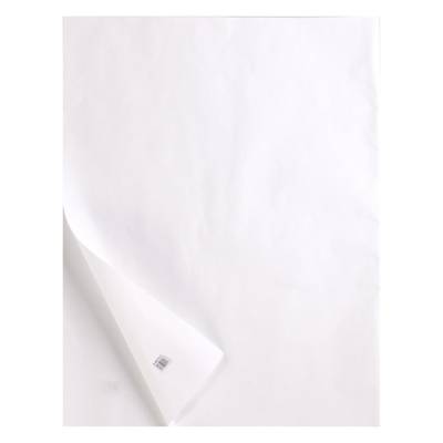 Rame de 10 feuilles de papier calque 400g A4 transparent - CLAIREFONTAINE