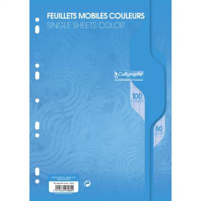 Feuillets mobiles 21x29,7 100p(50F) séyès 80g Bleu