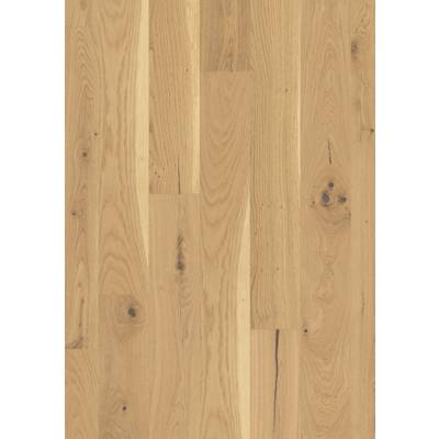 Plinthe massive replaquée MDD - 2500 x 12.5 x 82 mm - Gedimat - SOTRINBOIS