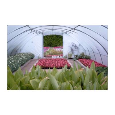 Serre Tunnel Professionnelle Bretagne – Serres Tonneau