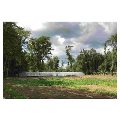 Serre Tunnel Professionnelle Normandie – Serres Tonneau