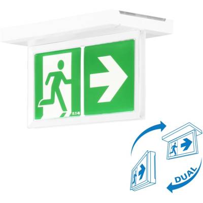 BAES évacuation SATI - 45lm/1h - IP43 IK07 - Pose mur/plafond - Visibilité+ - LUMINOX - 16125