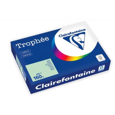 Ramette Papier FSC A4 160g 250 Feuilles Vert