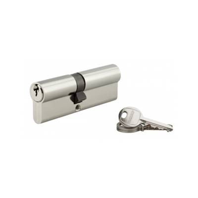 Cylindre de serrure double entrée SA, 40 x 50 mm, anti-arrachement, nickel, 3 clés - 1 pièce - THIRARD - 00016398 - Maxoutil