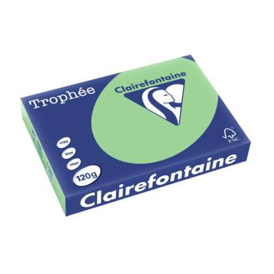 Ramette 250 Feuilles Papier 120g A4 210x297 mm Certifié FSC VERT NATURE - CLAIREFONTAINE