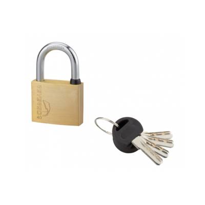 Cadenas REVERSO 40mm anse acier nickelé 4 clés réversibles - Gedimat - THIRARD