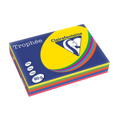 Ramette 500 Feuilles Papier 80g A4 210x297 mm Certifié FSC  Assorti Intense