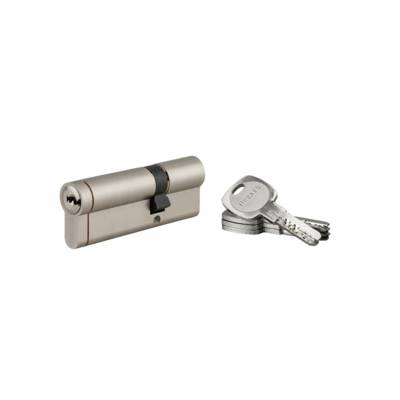 Cylindre TRANSIT 1 30 x 60 mm nickelé 5 clés - Gedimat - THIRARD