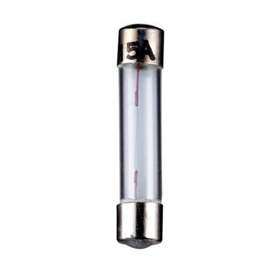 Ampoule de Type Fusible, 1,6 W 6,3 V (DC), 250 mA