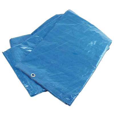 Bâche de Recouvrement Robuste 2,6 x 3 m Bleu