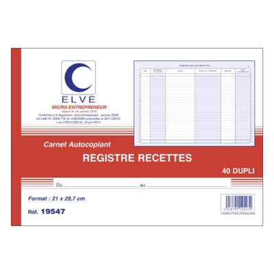 Manifold Micro ENTREPRENEURS RECETTES 210 x 297 mm 40 Feuillets Dupli - ELVE
