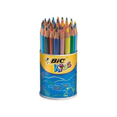 Pot de 48 crayons de couleur ECO KIDS EVOLUTION TRIANGLE 12 Couleurs - BIC