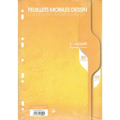 Feuillets mobiles dessin 21x29,7cm 80p uni 120g
