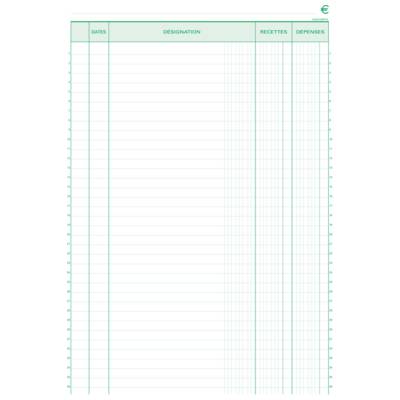 Manifold "Recettes-Dépenses" 297 x 210 mm 50 feuillets dupli - EXACOMPTA