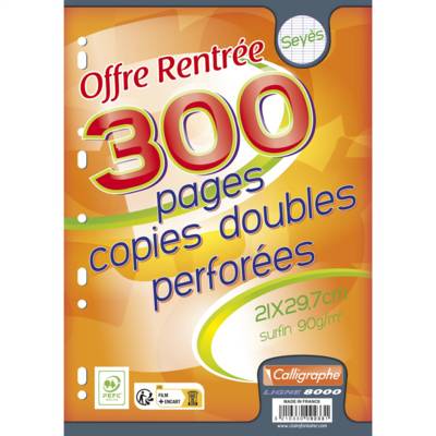 Copies doubles perforées s/film 21x29,7 300p séyès 90g