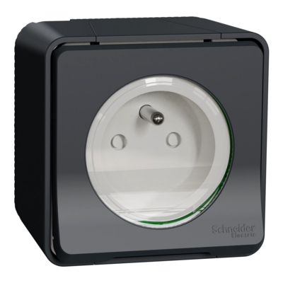 Mureva Styl - Prise de courant 2P+T à vis - saillie - IP55 - IK08 - gris - SCHNEIDER ELECTRIC - MUR36030