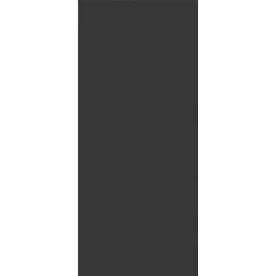 Porte seule tubulaire FENIX NTM décor Nero Ingo - 204 x 93 cm - Gedimat - WESTAG