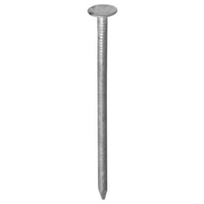 Pointe tête extra large en acier galvanisé diam.3,00mm long.70mm barquette de 1kg - Gedimat - NORAIL
