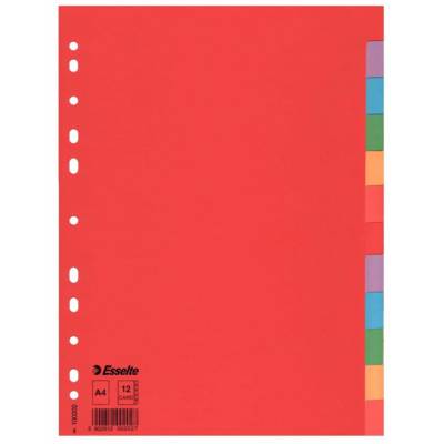 Jeu Intercalaire carton 160g A4 12 touches multicolores